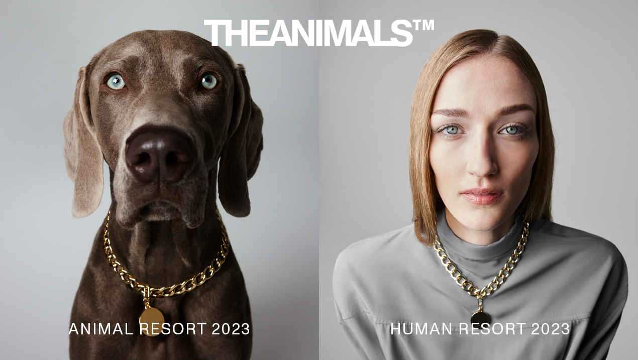 LAUNCH 22 - THE ANIMALS