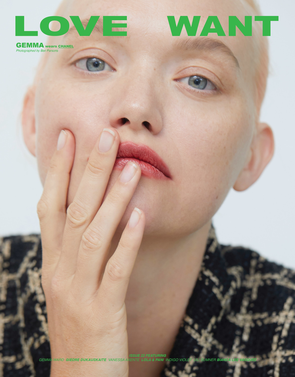 Cover 22 - Love Want