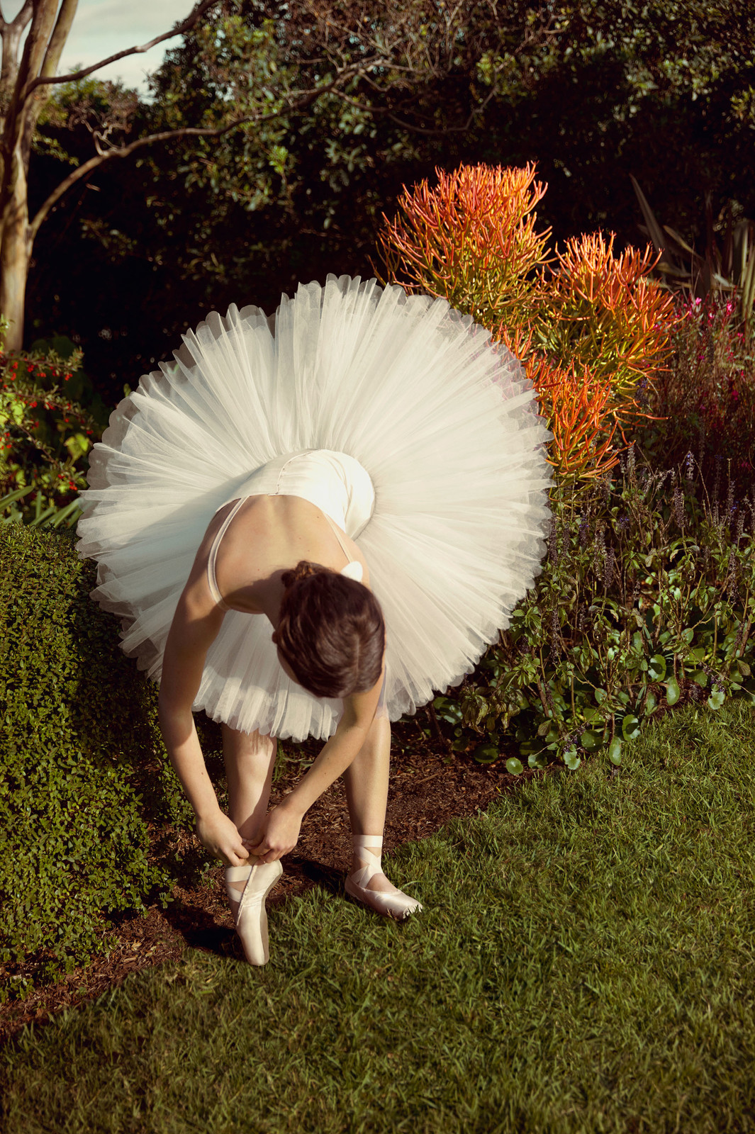 Season 2019 - The Australian Ballet