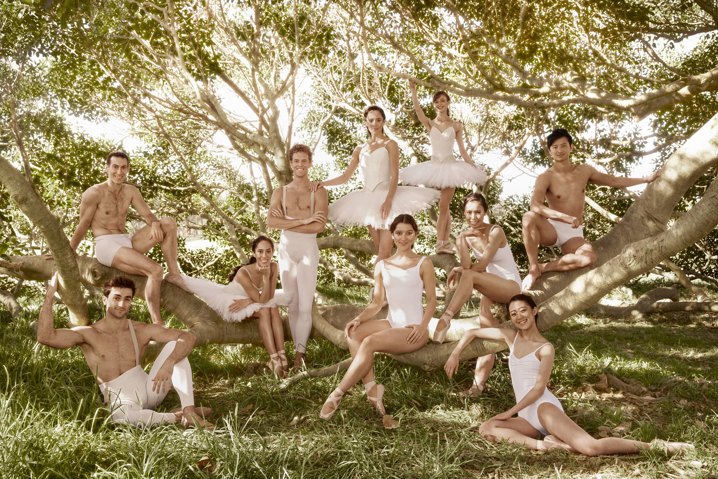Season 2019 - The Australian Ballet